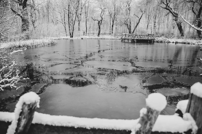 The Frozen Pond Empire That Convinced America Cold Drinks Were Civilized